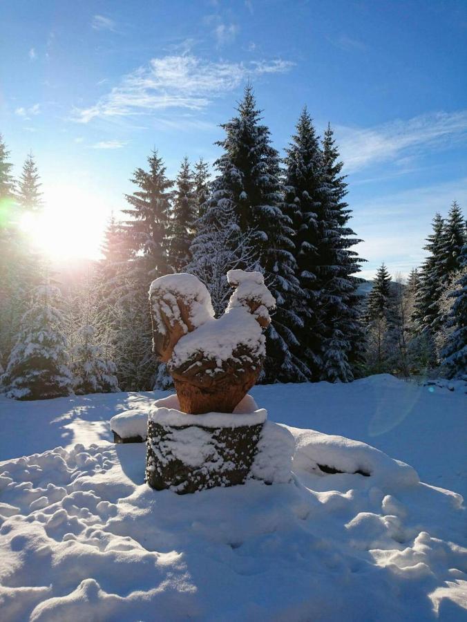 Horska Bouda U Kokrhace Otel Dolní Malá Úpa Dış mekan fotoğraf