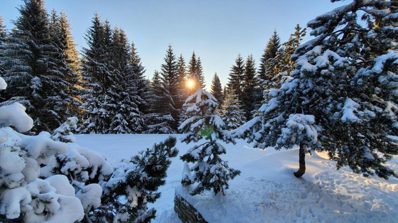 Horska Bouda U Kokrhace Otel Dolní Malá Úpa Dış mekan fotoğraf