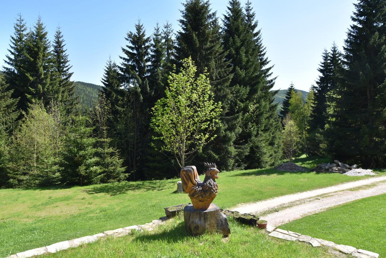 Horska Bouda U Kokrhace Otel Dolní Malá Úpa Dış mekan fotoğraf